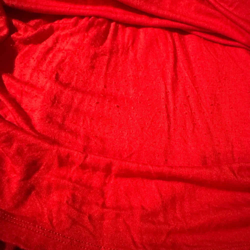 Free People Vintage Flared Burnt Red Mini Dress Floral Design - S - Picture 13 of 13